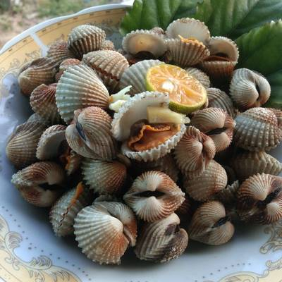 

Kerang dara 1kg - Frozen
