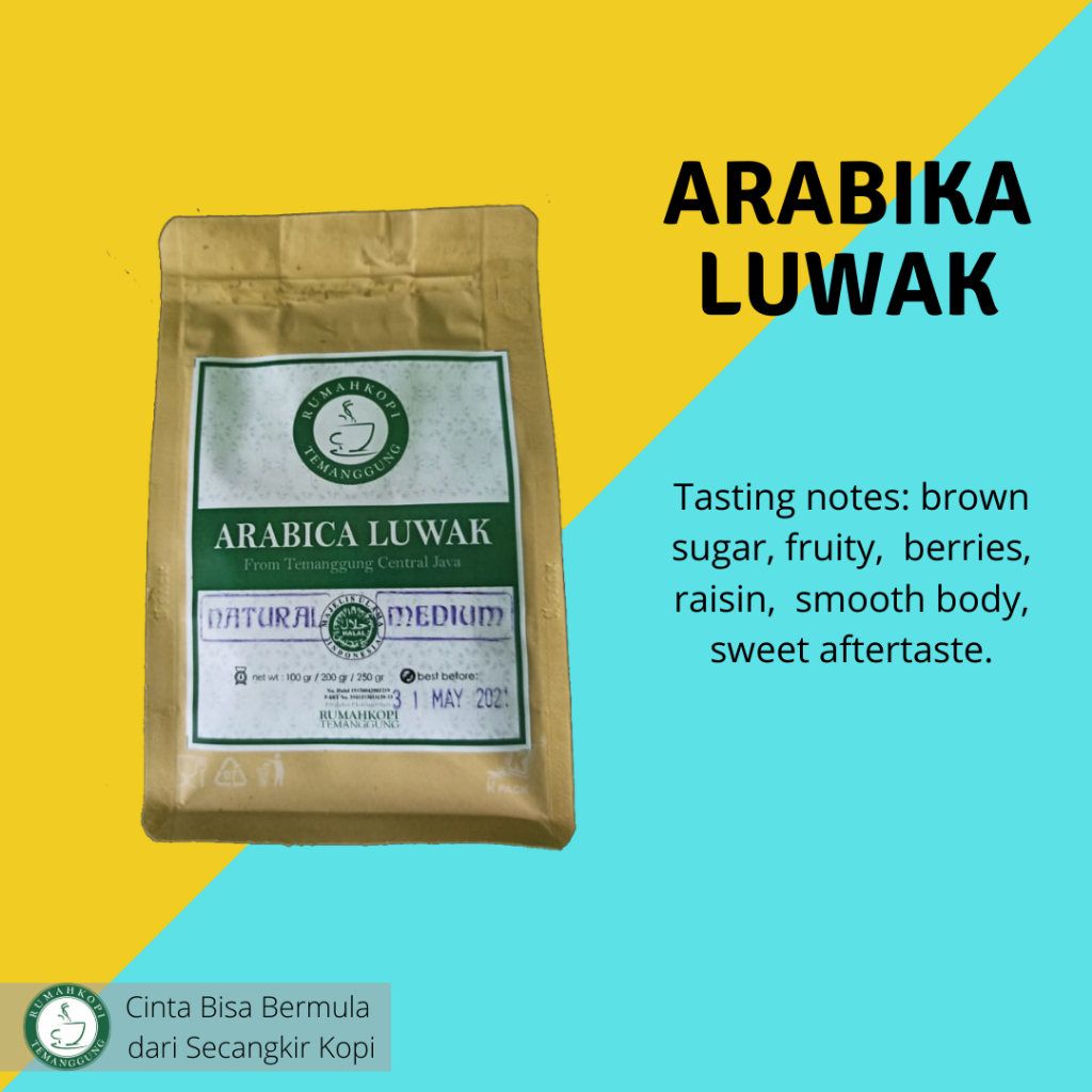 

Kopi Luwak Arabika Temanggung