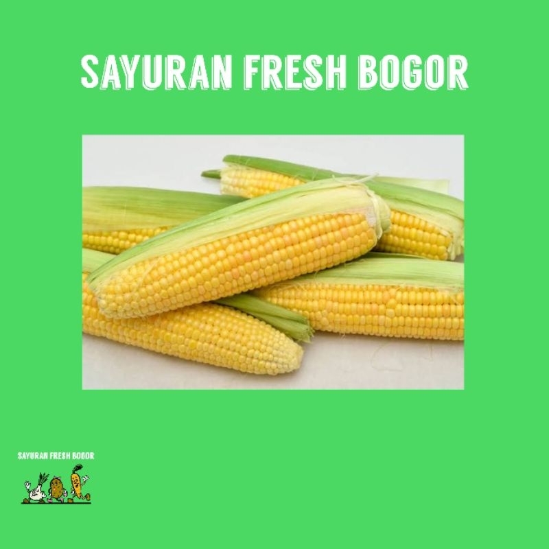 

Jagung Manis Kulit ( 500 Gram ) | Sayuran Fresh Bogor