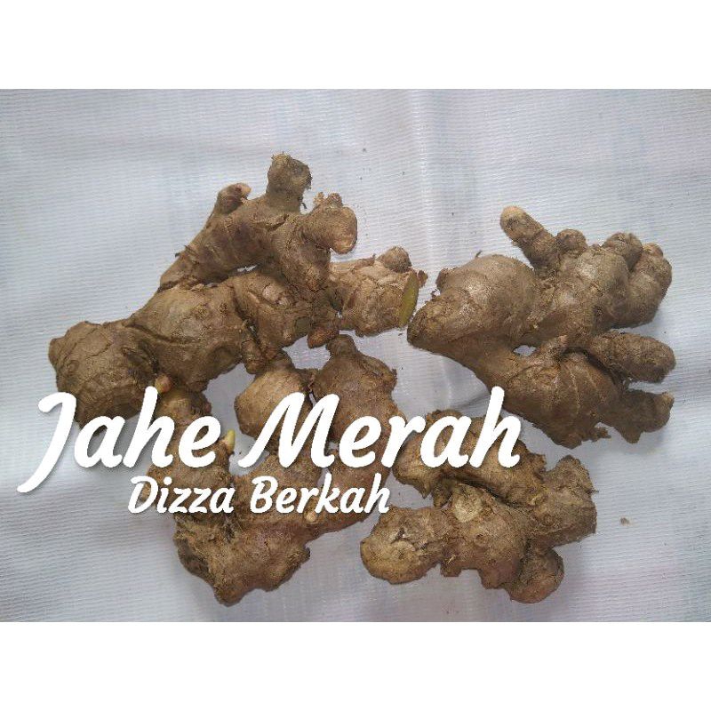 

JAHE MERAH /250gr/Dizza Berkah