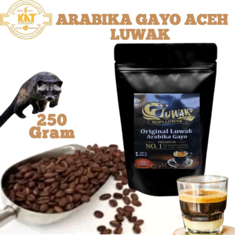 

KOPI LUWAK LIAR ASLI ARABICA GAYO ACEH 250 gram BIJI HITAM BUBUK HALUS ARABIKA GAYOH TAKENGON COFFEE SPECIAL MIX MURAH.