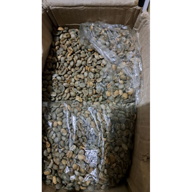 

kopi arabika plantungan