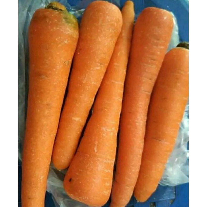

SAYUR WORTEL