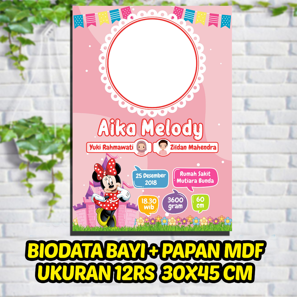 BIODATA BAYI  + PAPAN MDF Ukuran 12 RS 30X45 CM TEMA BABY GIRL