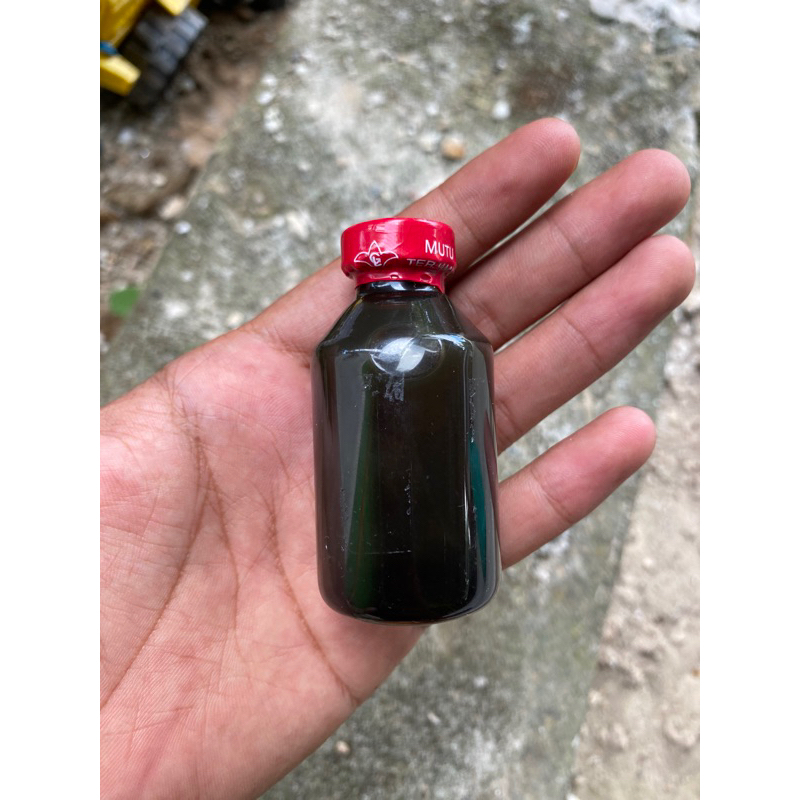 Minyak Lintah Hitam Asli Kalimantan