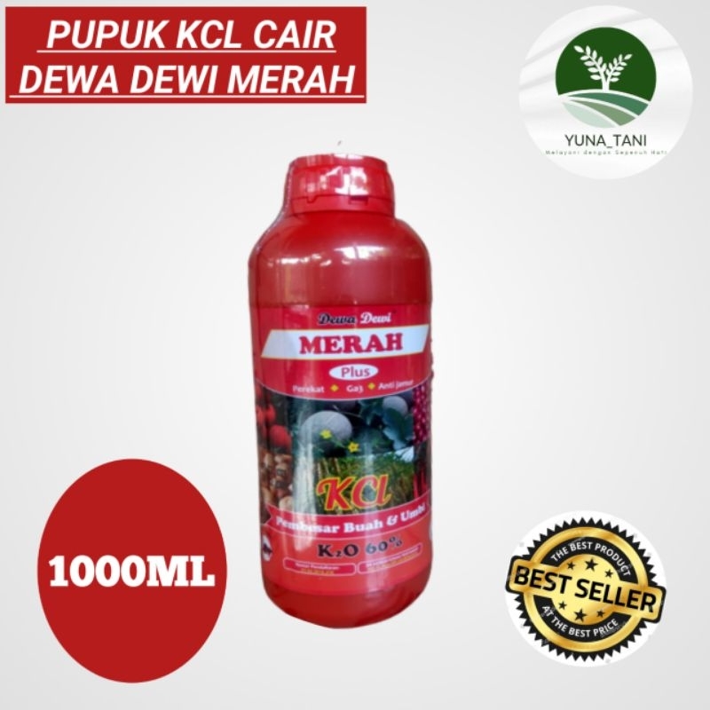 Pupuk kcl dewa dewi merah 60% + anti jamur