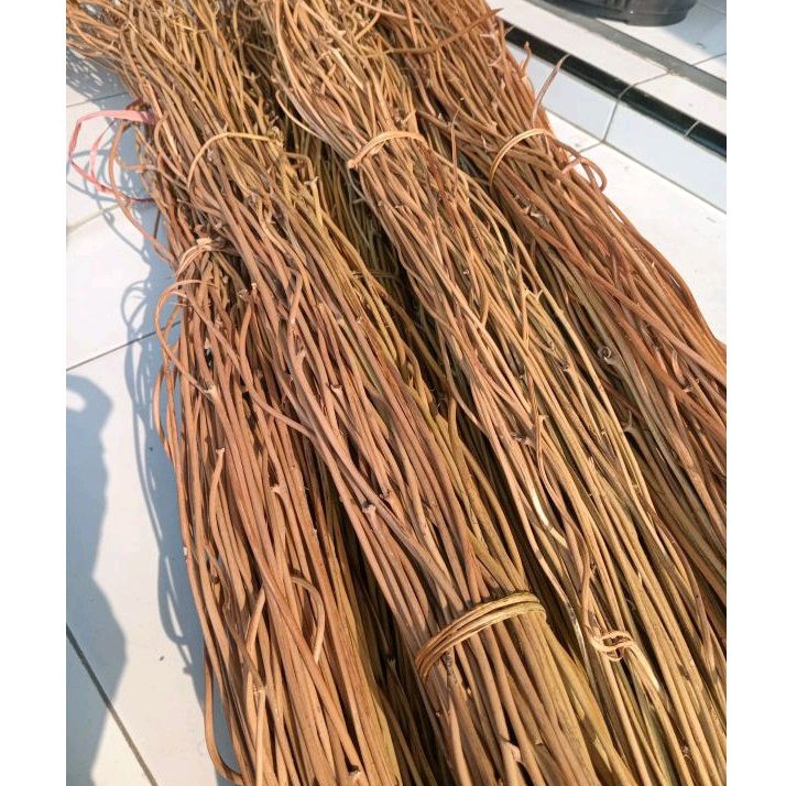 akar Manon untuk dekorasi