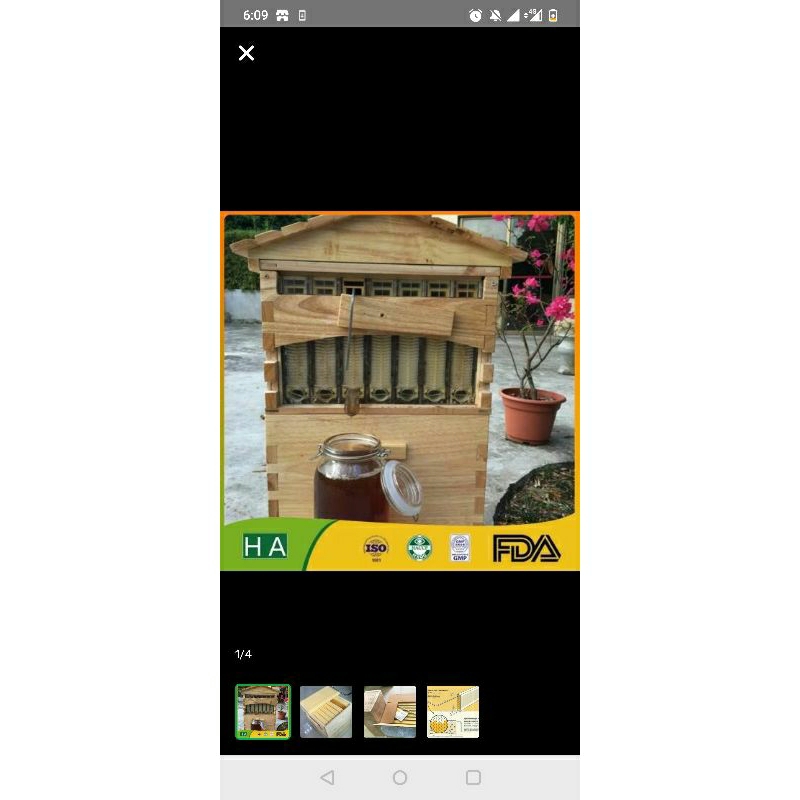 Sarang lebah Rumah kayu saja flow hive honey