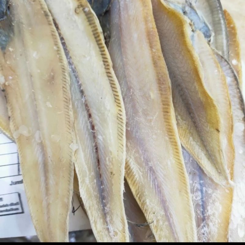 

Ikan Asin Lidah Khas Medan 500 gr