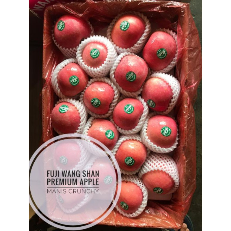 QUEEN BUAH - BUAH APEL FUJI WANG SHAN 1 DUS