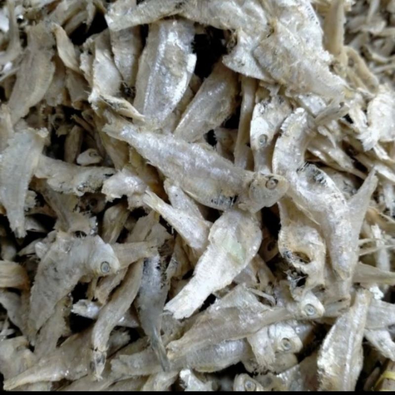 

Ikan Hase hase/Ikan Kresek Medan 1 kg