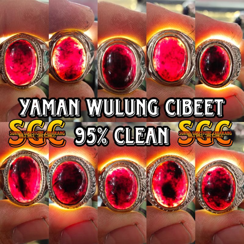 [COD] NATURAL YAMAN CIBEET