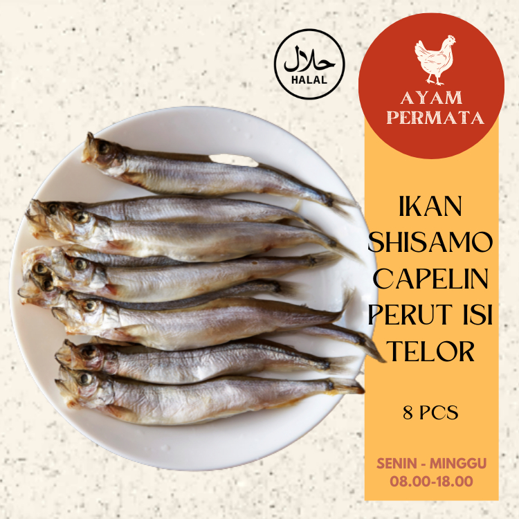 

Ikan Sisamo Telur - Shisamo Fish Telor - Capelin Jepang Air Laut by Ayam Permata - AyamFreshPermata