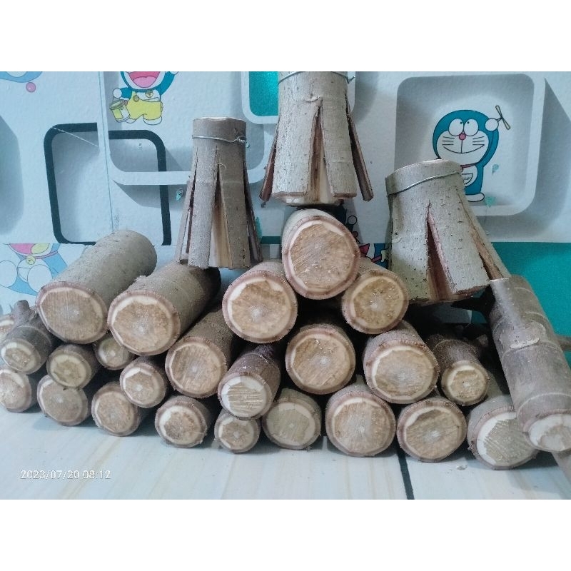 bahan bonsai waru merah udah pecah batang