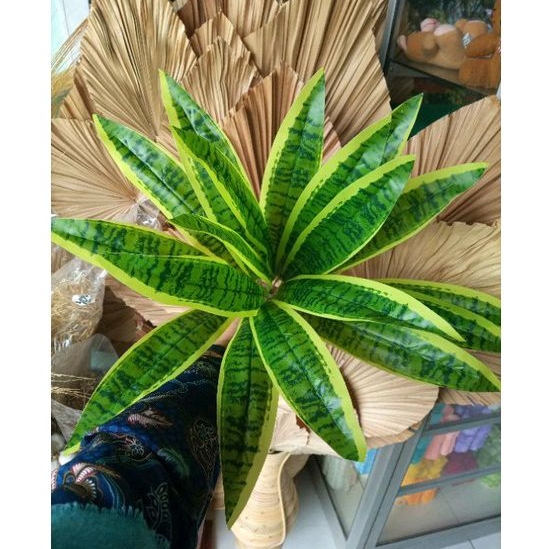 Daun lidah mertua artificial