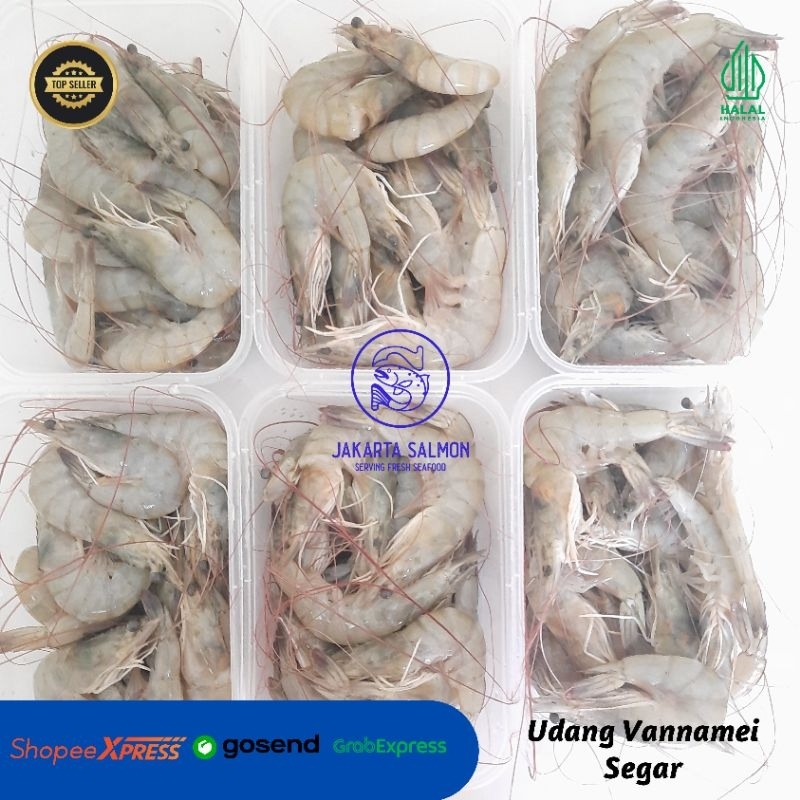 

Udang Segar/ Udang Vaname/ Udang Tambak