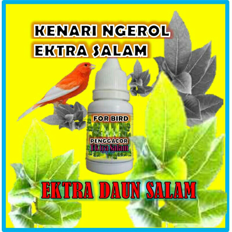 

Ekstra Salam. Penggacor Burung Racikan Daun Salam. Untuk Semua Jenis Burung. Ramuan Racikan Herbal James.