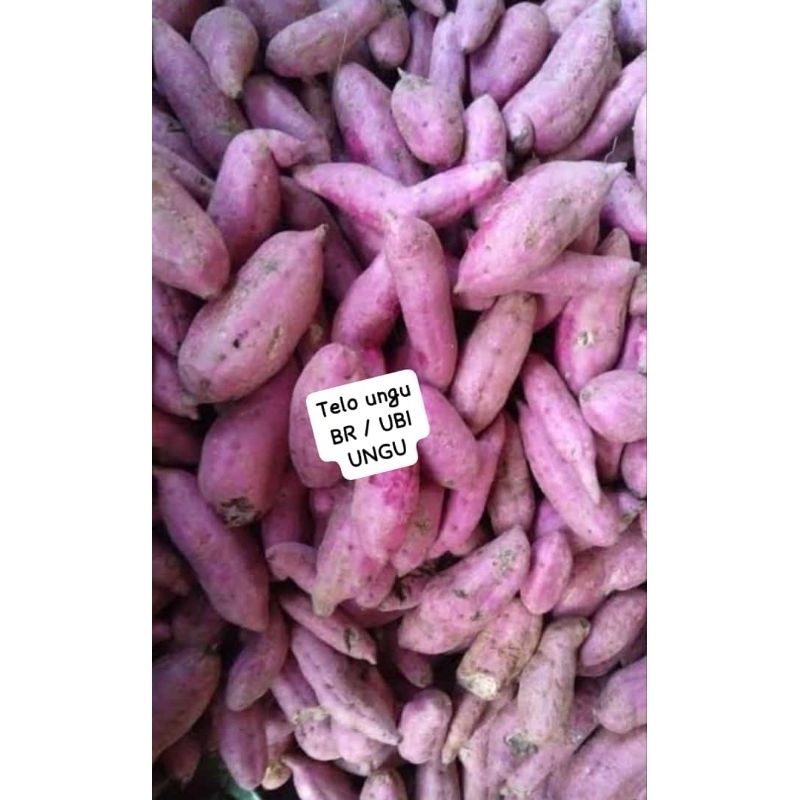 

ubi ungu 1kg