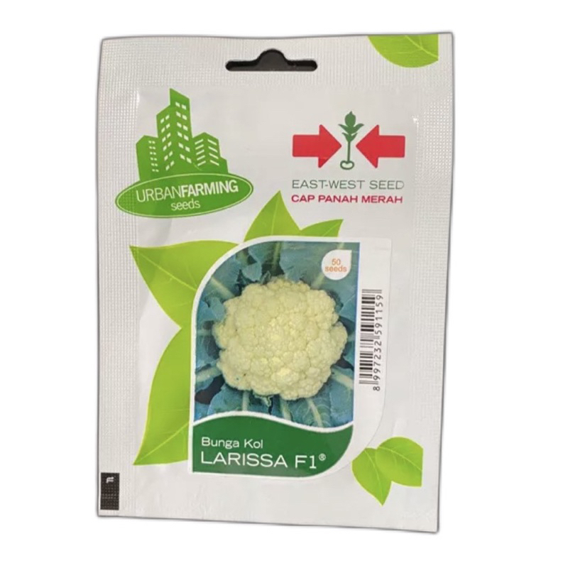 Benih Bibit Bunga Kol Larissa Merek Cap Panah Merah