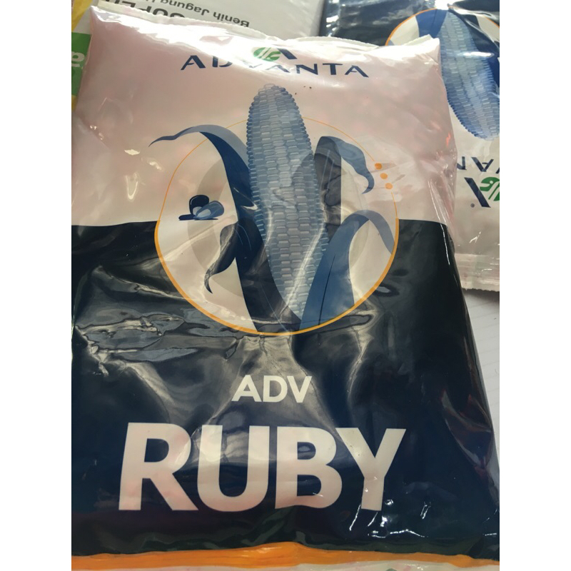 ADV RUBY