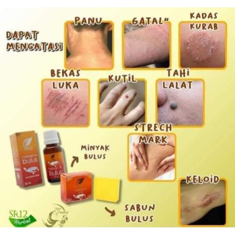 MINYAK BULUS SR12/MINYAK EKSTRAK BULUS/MINYAK/OIL MASSAGE/BULUS OIL/SR12 HERBAL/MINYAK SR12
