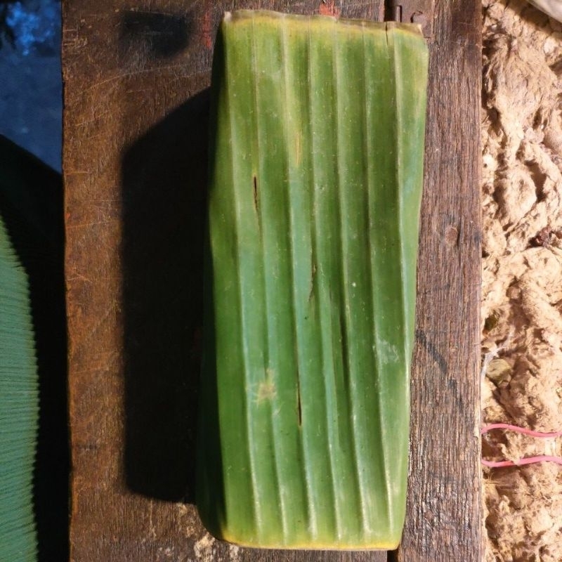 

Tempe Daun, Tempe Gembos, Tempe Plastik