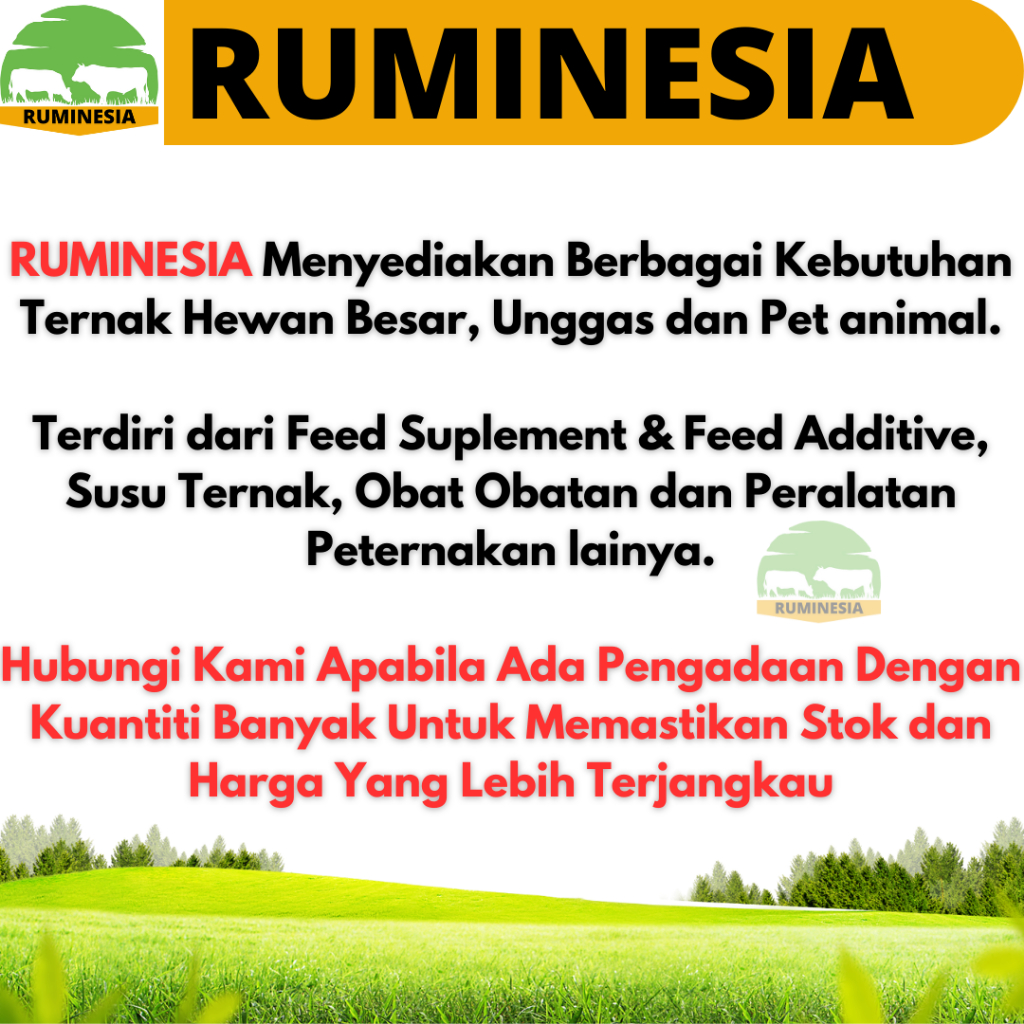 BENIH LAMTORO TARAMBA SUPER 1KG Hijauan pakan ternak sumber protein BIJI LAMTORO 1 kg