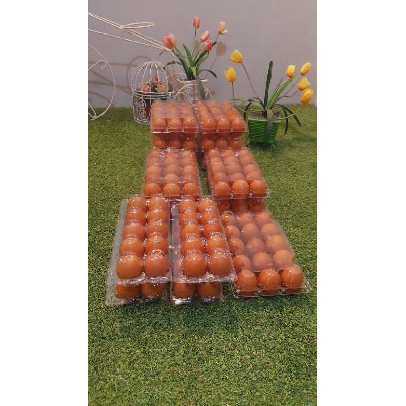 

Telur Omega-3 fresh from farm