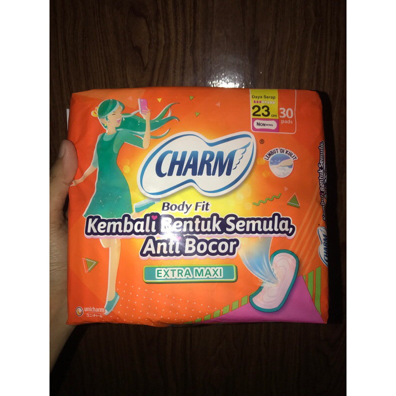 CHARM TANPA SAYAP 23CM ISI 30