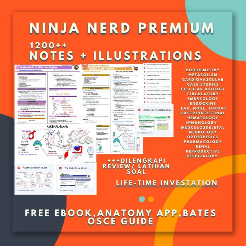 

Ninja nerd notes + illustrations (premium) all subjects