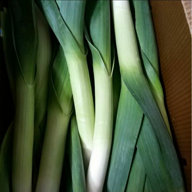 

Leek Australia - Daun Bawang Australia 1kg