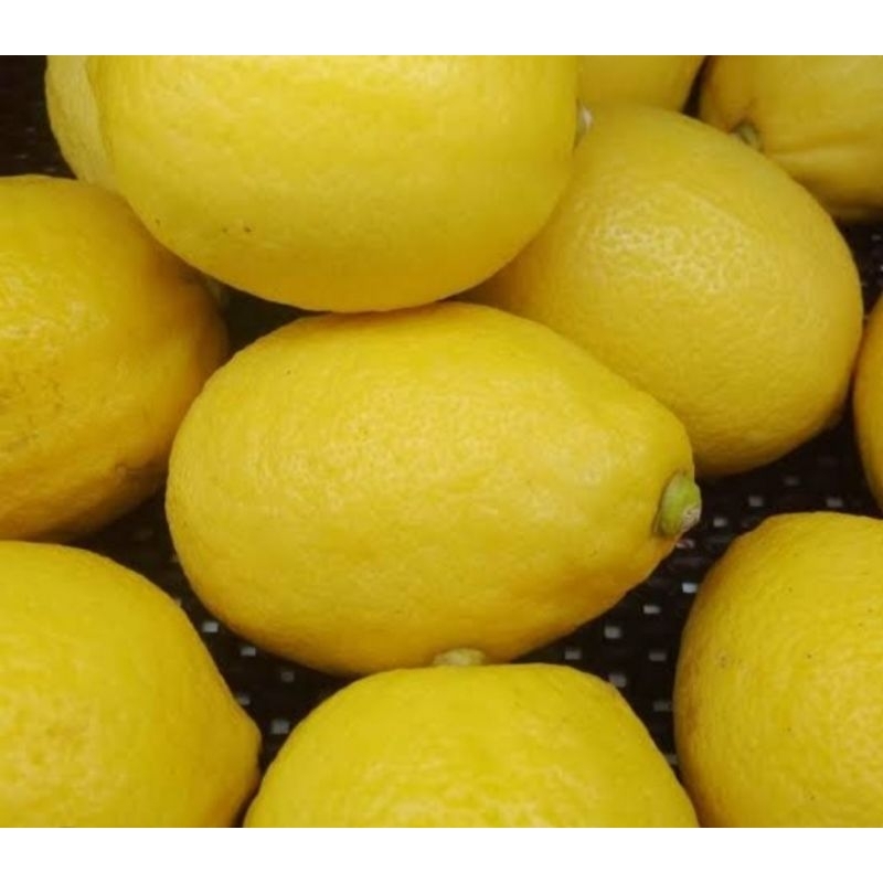 

jeruk lemon impor 1kg