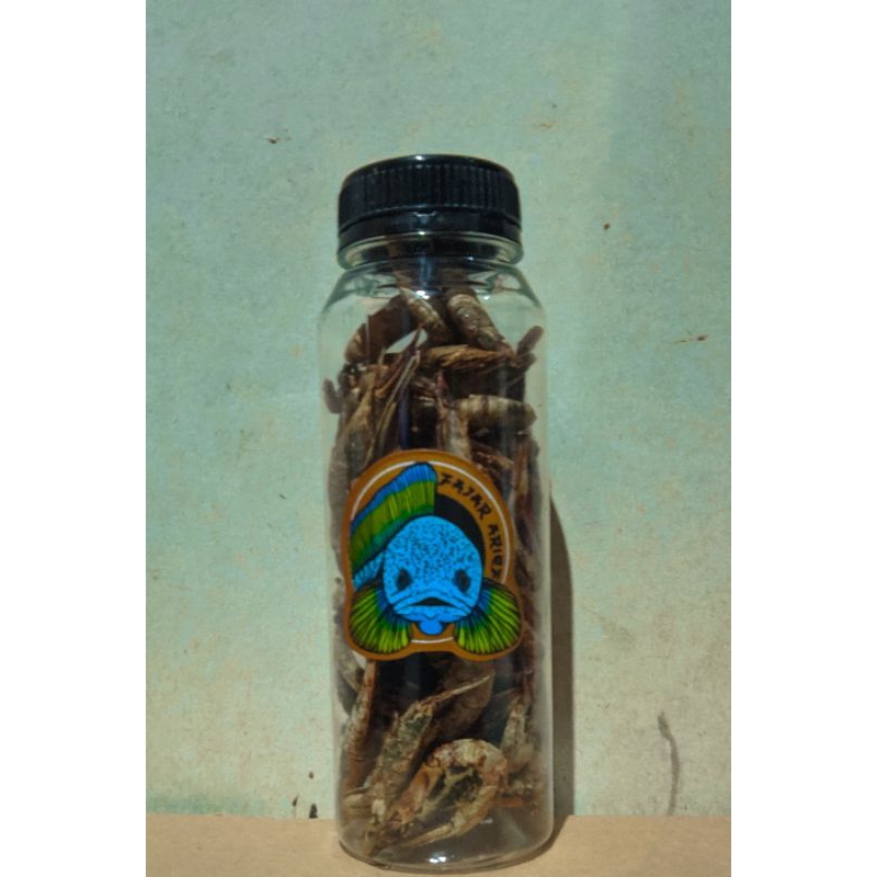 

UDANG JAHAT FAJAR ARIEF ALL COLOUR TREATHMENT ORIGINAL FREE STICKER