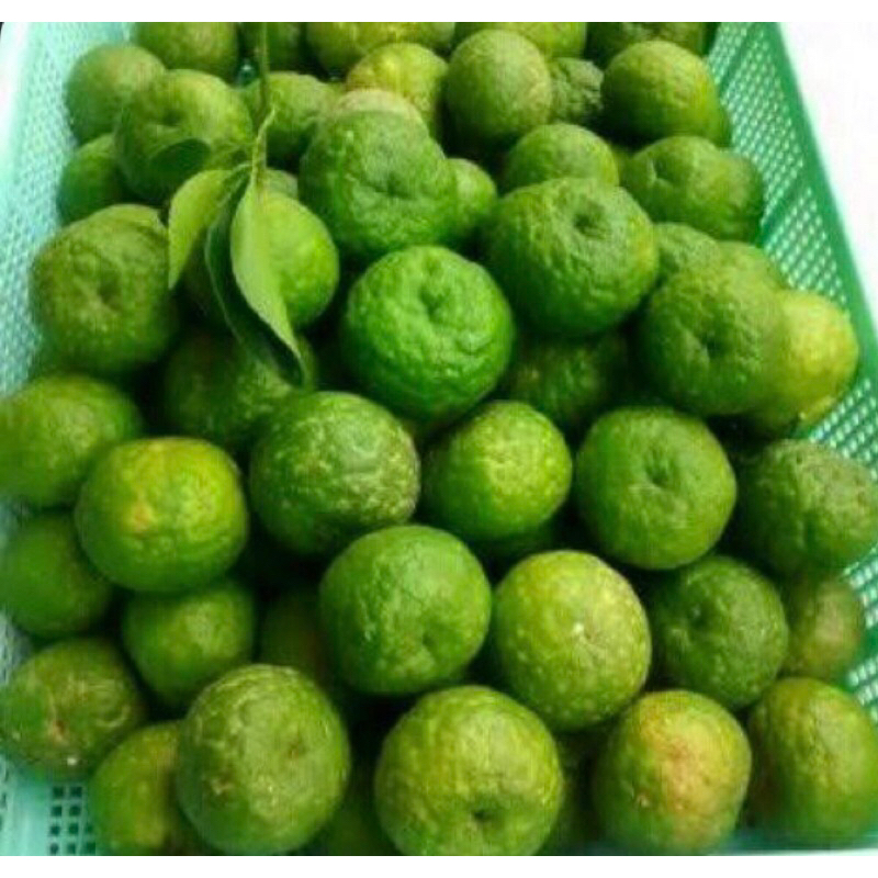 

JERUK LIMAU SAMBEL 1/4 FRESH