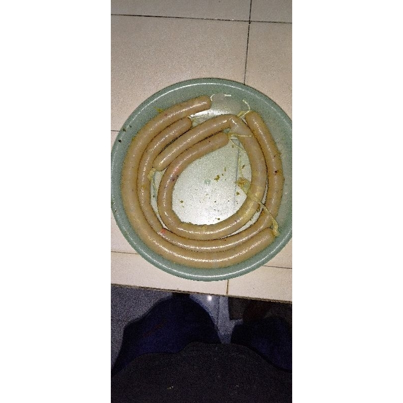 

urutan ayam