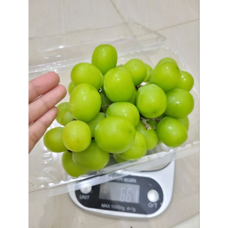 

Green SHINE MUSCAT 520 Manis Ukuran Besar
