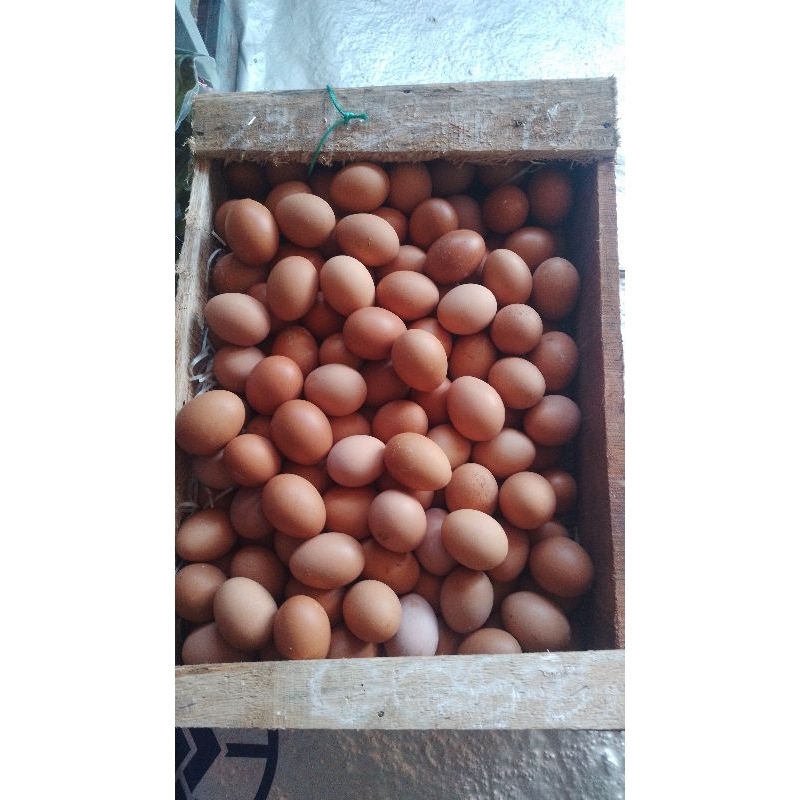 

telor ayam negeri