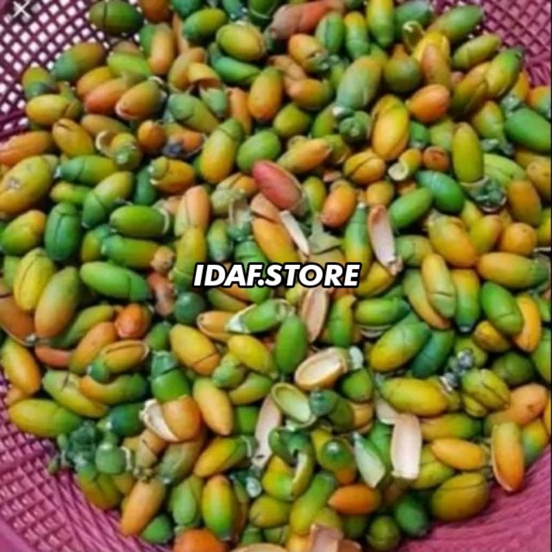 

KULIT MELINJO MENTAH SEGAR 1KG | KUNING DAN HIJAU