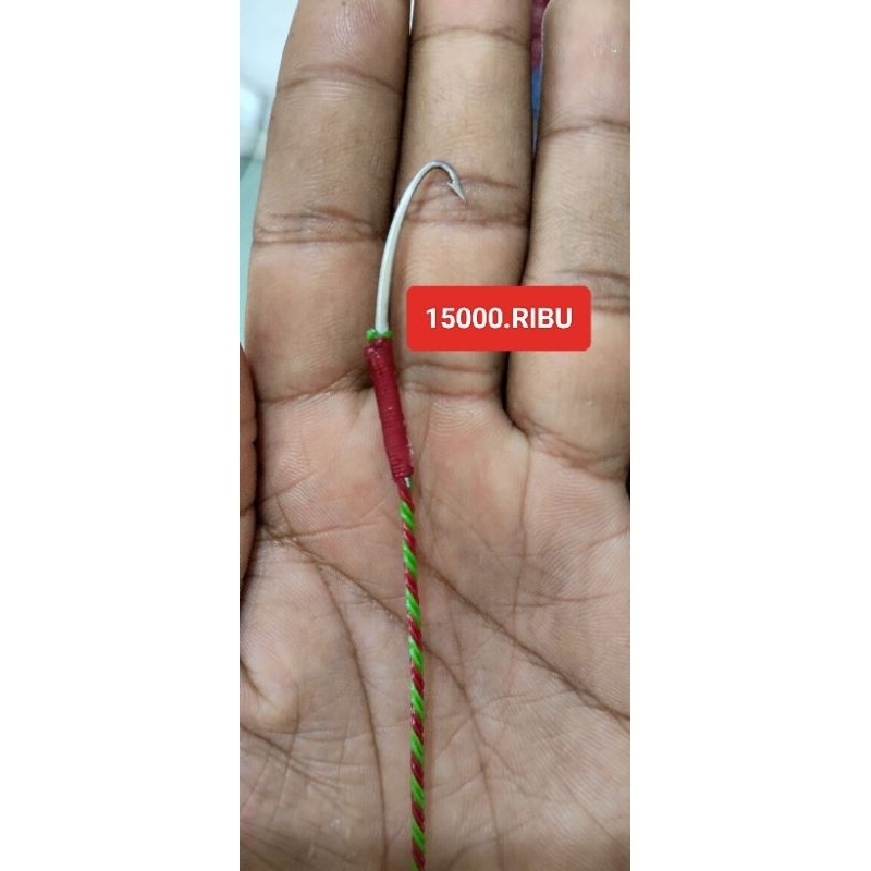 PANCING BELUT RAWA & SAWAH