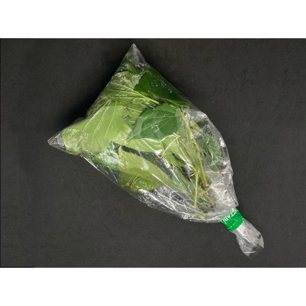 

Daun sirih segar, daun sirih