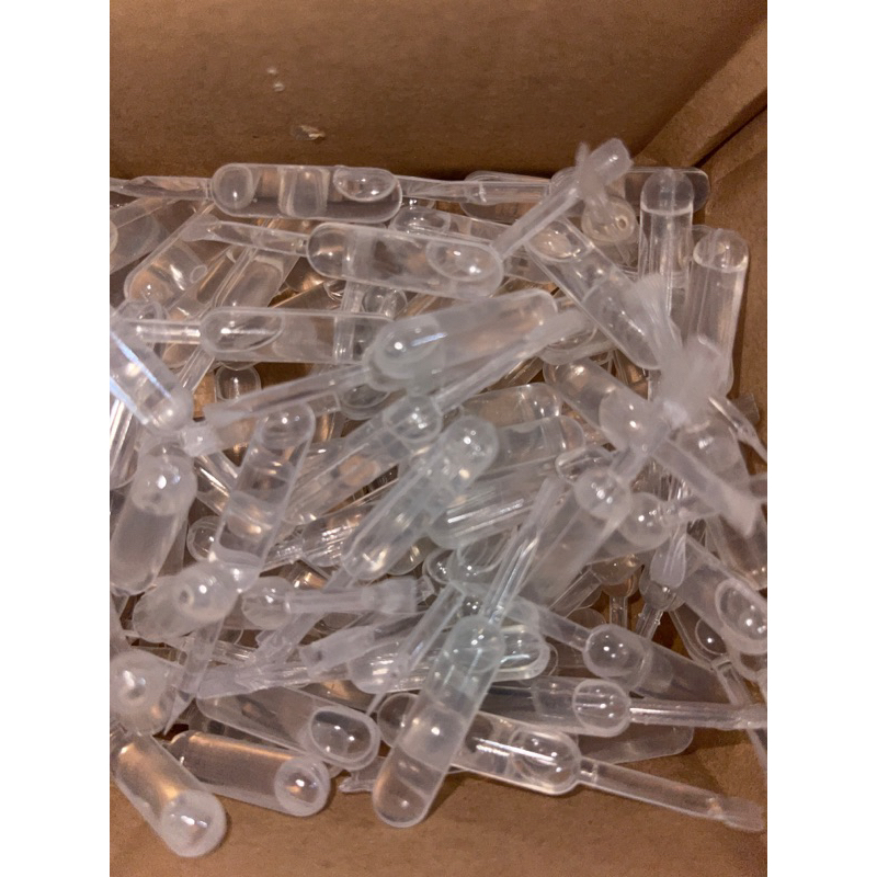 Tetes Kutu Kucing Ampuh