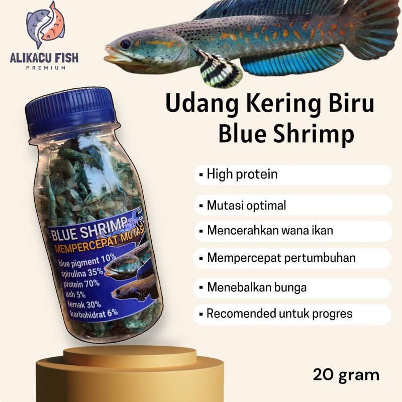 udang kering blue 20gram pakan ikan predator channa blue pulchra limbata orna orcha stewarti andrao