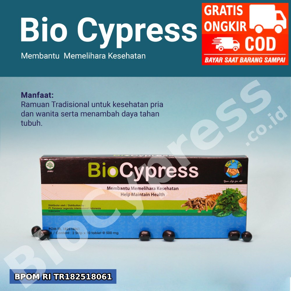 BIOCYPRESS 20 Butir BPOM ASLI Obat Herbal Bio Cypress, Solusi Mengatasi Stroke, Diabetes, Asam Lambu
