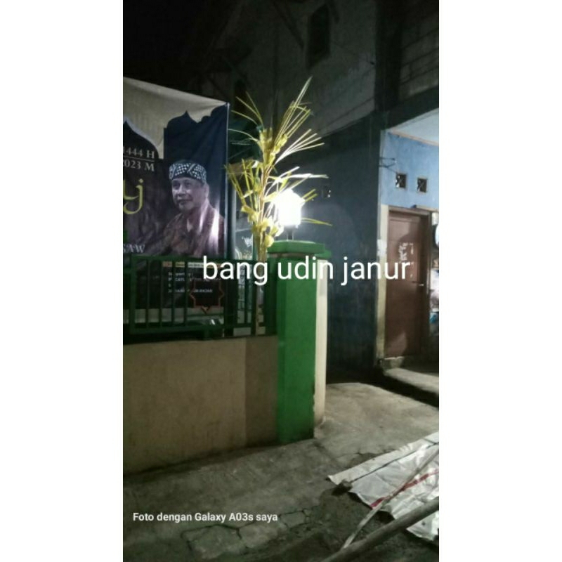 janur depok... janur kecil / janur pintu / janur penanda