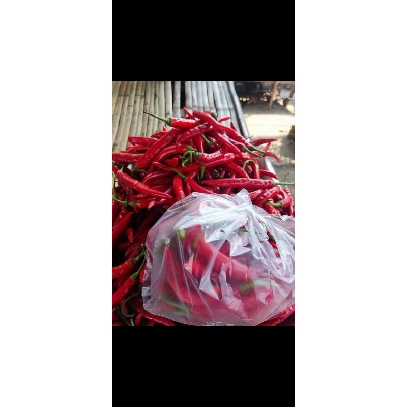 

cabe merah 1/2kg