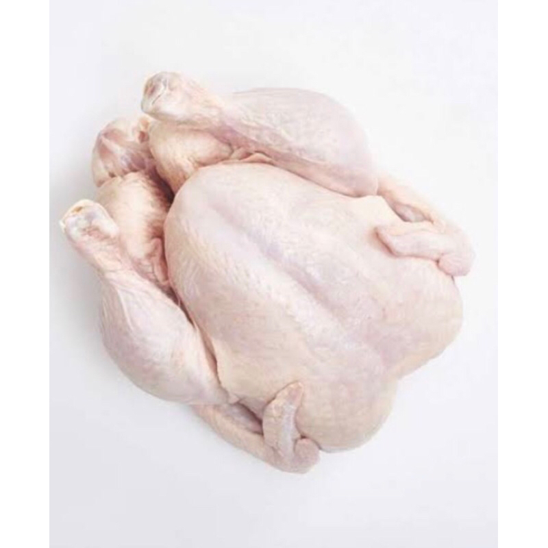 

Ayam fress