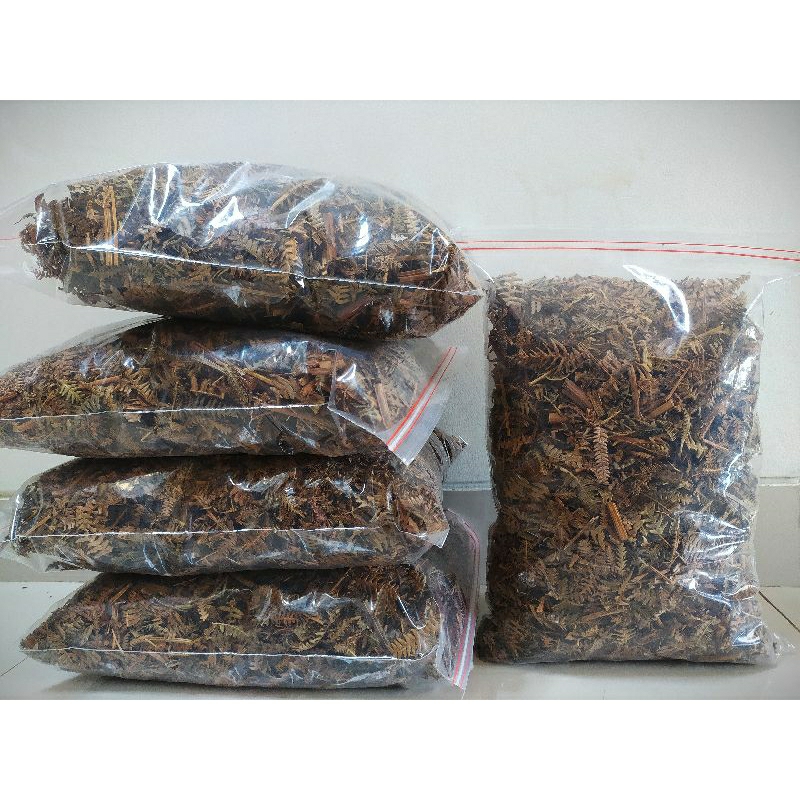 Andam fermentasi ( humus organik) pupuk organik