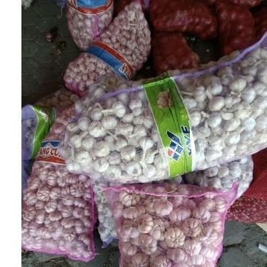 

BAWANG PUTIH KATING BERSIH 1KG
