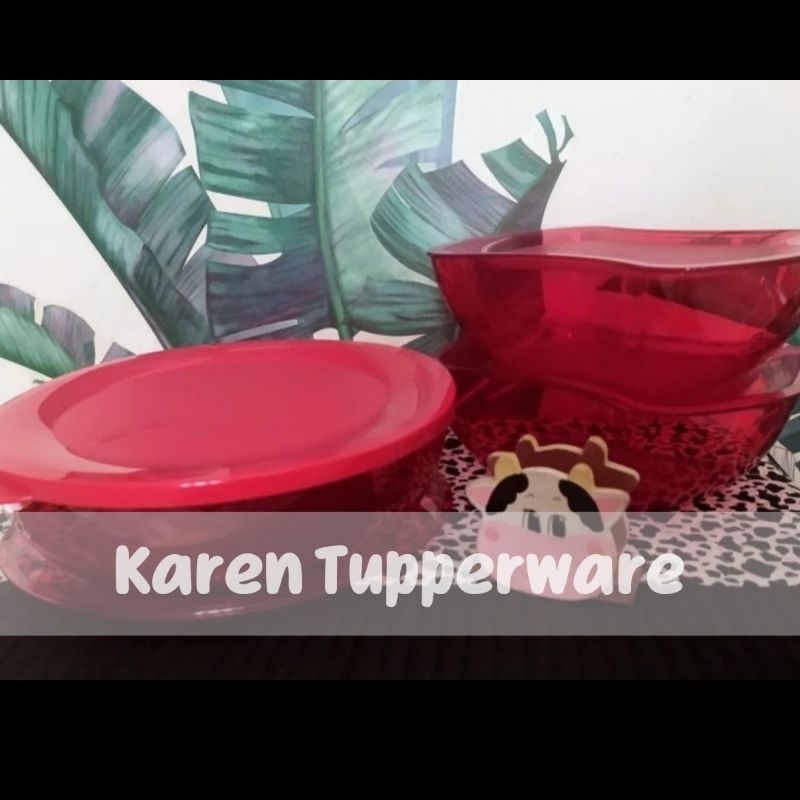 Tupperware - Domino Crystal Set Red