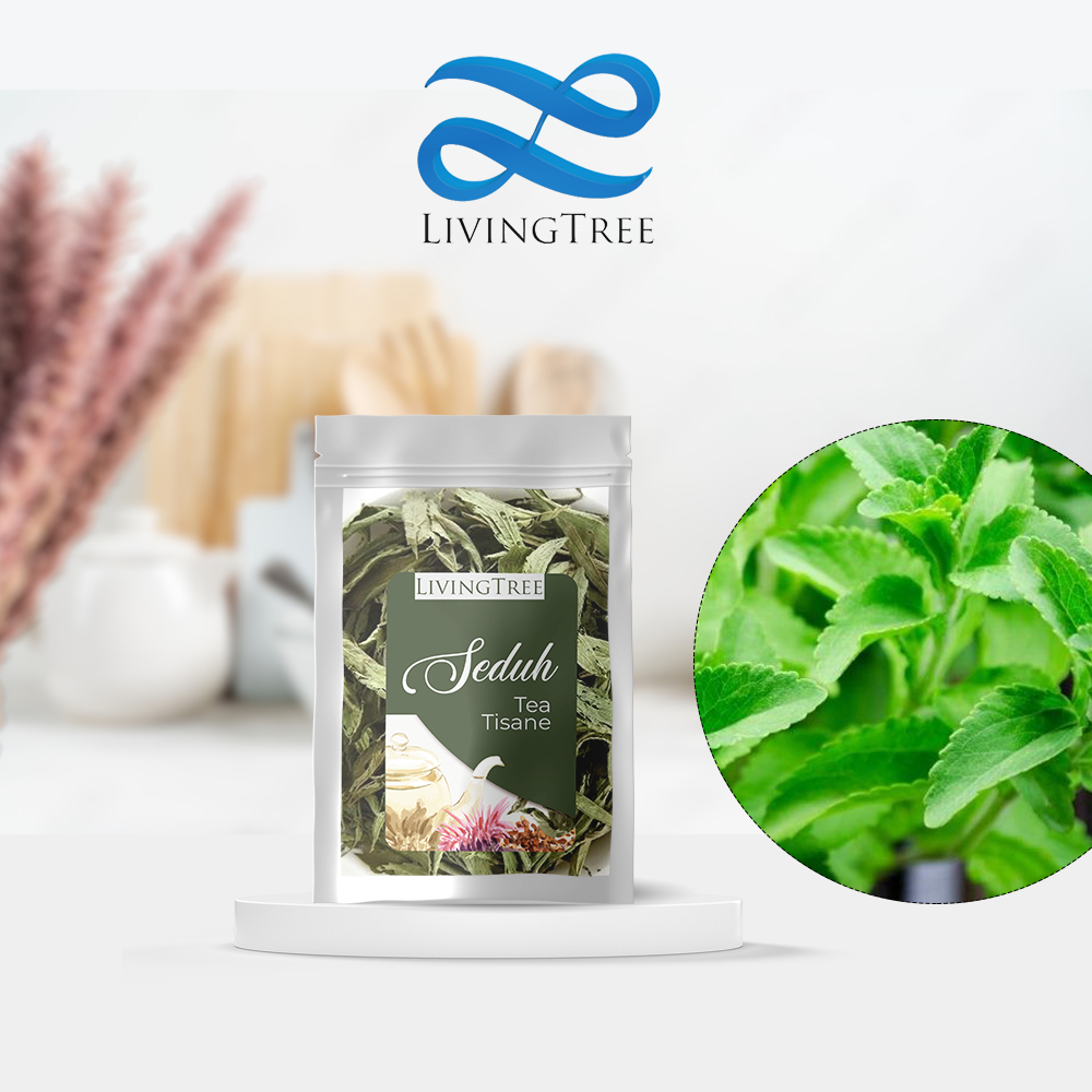 

Teh Daun Stevia Kering Pemanis Alami 10gr Sweet Stevia Leaves